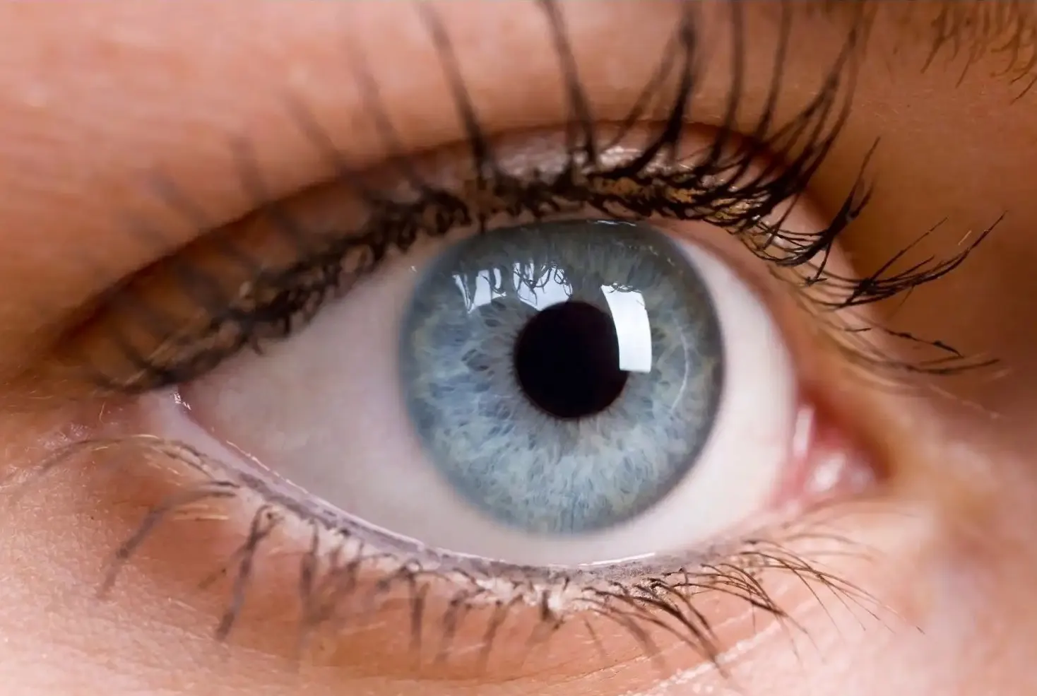 Close-up of a blue eye — symbolizing EMDR bilateral eye movement therapy